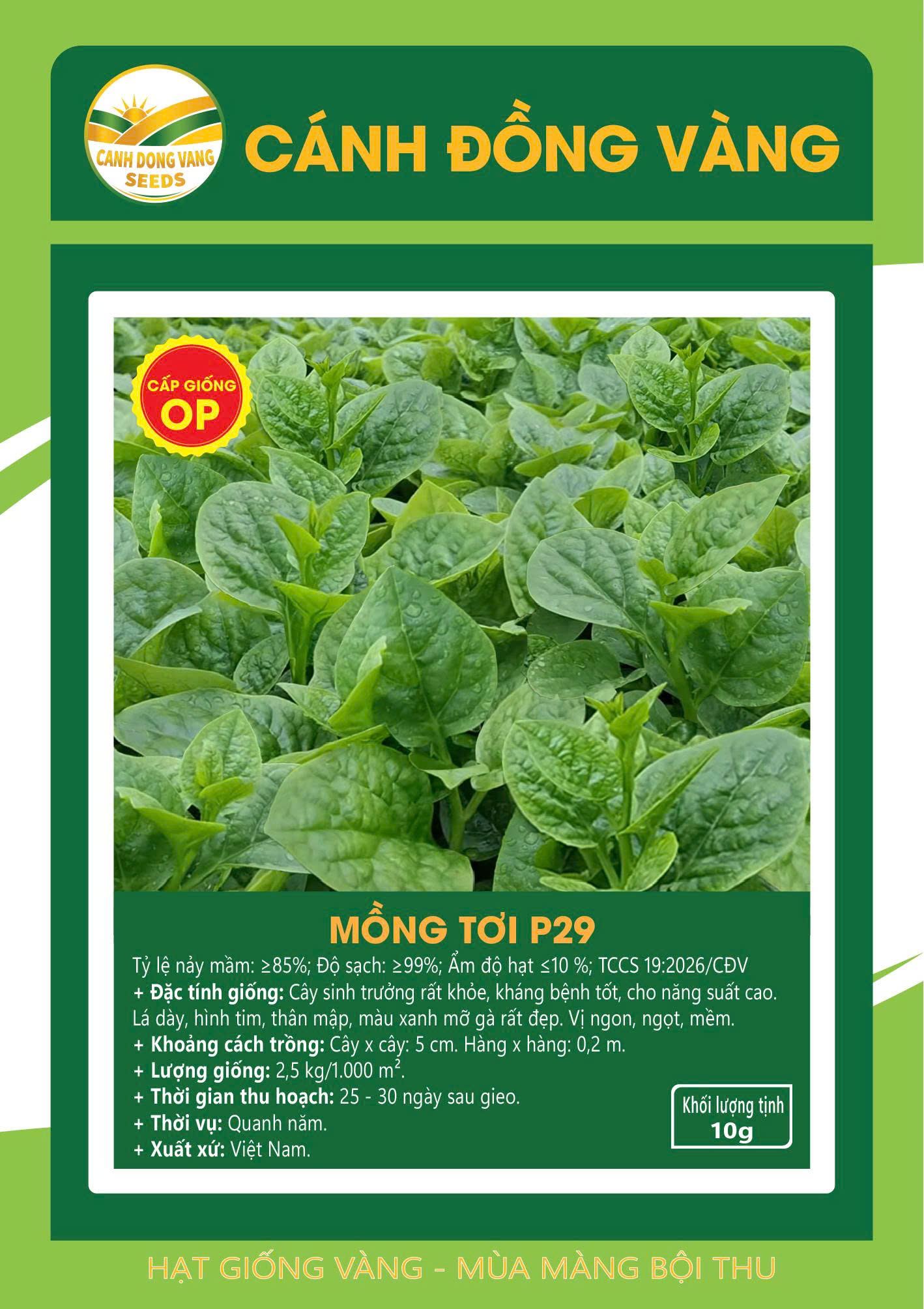 MỒNG TƠI P29